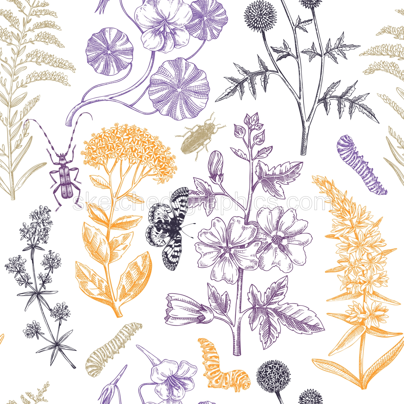 Hand drawn summer background. Garden flowering plants with insects design. Floral seamless pattern. Botanical illustrations for textile, fabric, packaging. Hibiscus, mallow, primrose, thistle sketches Illustration